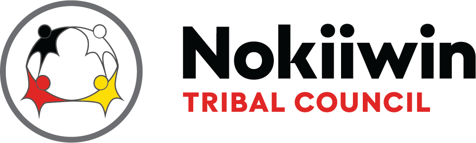 Nokiiwin Logo